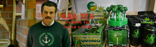 амф Алексин
