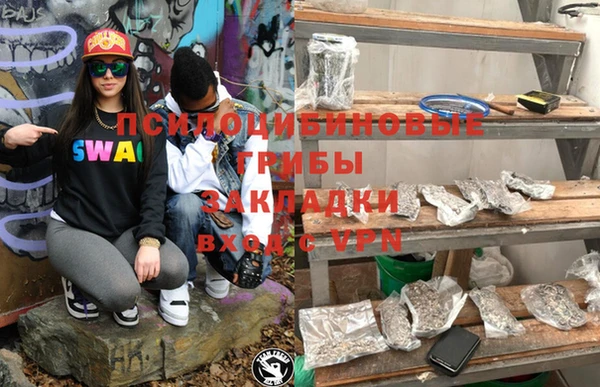 дмт Алексеевка