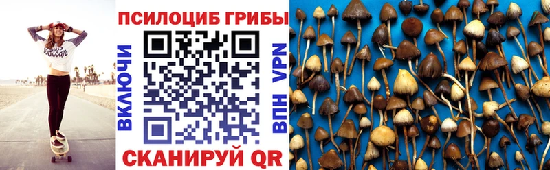 нарко площадка формула  наркотики  Чистополь  Псилоцибиновые грибы GOLDEN TEACHER 