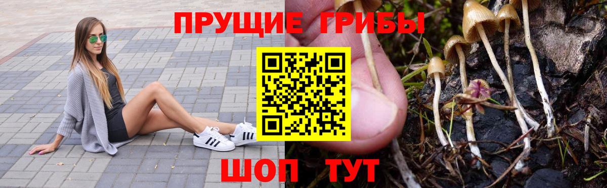 Галлюциногенные грибы Magic Shrooms Чистополь